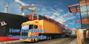 How A Logistics Company Works 