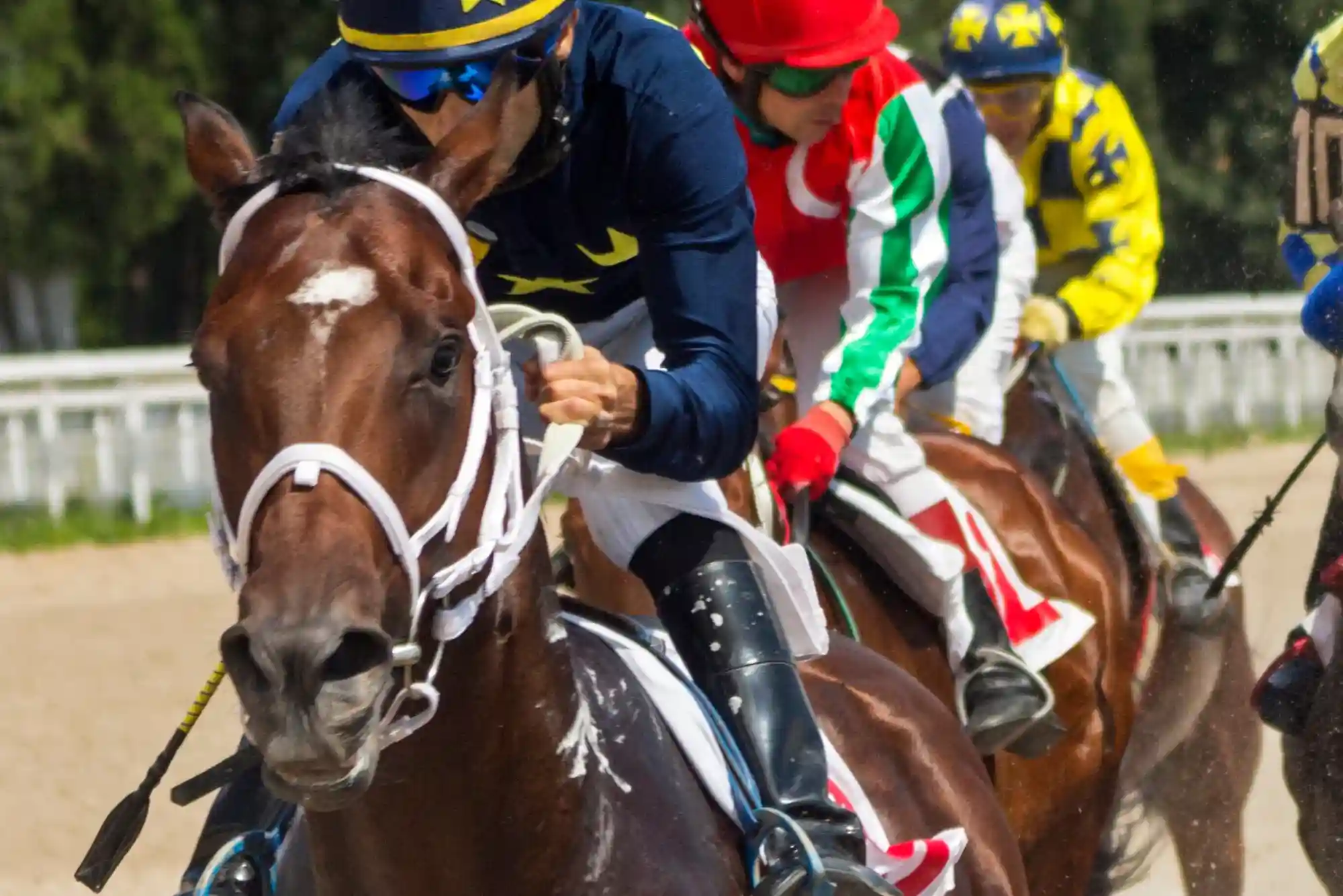 What Mistakes to Avoid in Horse Racing Betting